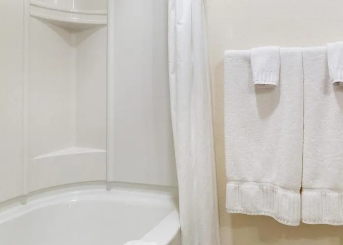 Landing Modern Apartment With Amazing Amenities
